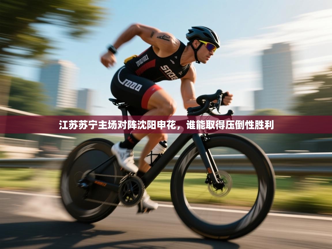 江苏苏宁主场对阵沈阳申花,谁能取得压倒性胜利 第2张