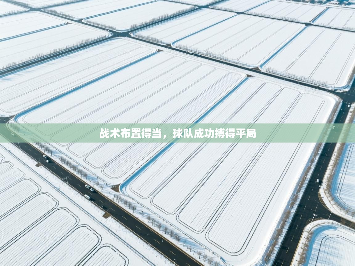 战术布置得当，球队成功搏得平局