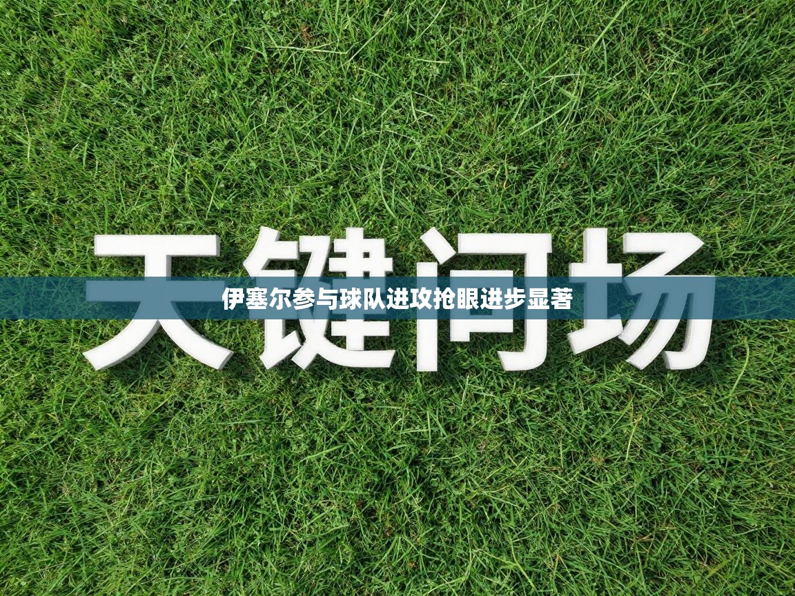 伊塞尔参与球队进攻抢眼进步显著